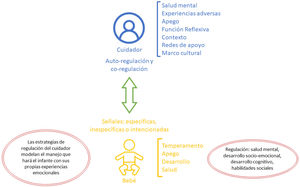Regulación diádica.