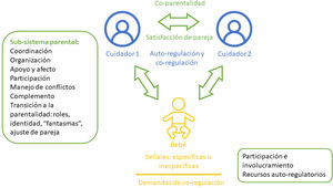 Regulación triádica.