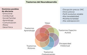 Trastornos del neurodesarrollo: características y dominios posibles de afectarse. Adaptado de Thapar A, et al.2.
