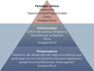 Esquematización del trastorno por déficit de atención e hiperactividad en tres niveles a modo de iceberg (el nivel superior es lo más evidente semiológicamente). Los tres niveles tienen especificidad relativa, pudiendo ser compartidos con otros trastornos del neurodesarrollo y psiquiátricos.