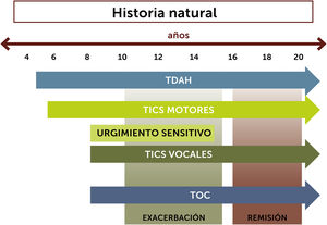 Curso y evolución de tics. Abreviaturas: TDAH: trastorno por déficit de atención e hiperactividad; TOC: trastorno obsesivo compulsivo.