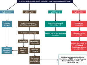 Algoritmo de manejo sugerido Abreviaturas: AMCT: amniocentesis; US: ultrasonografía; RM. resonancia magnética; RN: recién nacido. Adaptado de Izquierdo G et al.35 y Boucoiran I et al.37.