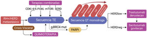 Algoritmo de manejo para pacientes con cáncer de mama avanzado (CMA) receptor hormonal positivo (RH+) Abreviaciones: RH+/HER2−: receptores hormonales positivos y expresión de HER2 no amplificado; CDKi: inhibidores de ciclinas dependientes de quinasas; TE: terapia endocrina; QT: quimioterapia; PARPi: inhibidores de PARP; PI3Ki: inhibidores de PI3K; mTORi: inhibidores de vía mTOR (Everolimus); SERD: degradadores selectivos del receptor de estrógeno (Elancestrant); CMF: ciclofosfamida, metrotrexato y 5FU.