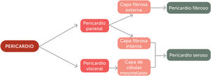 Composición del pericardio.