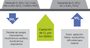 Equilibrio entre la disponibilidad u oferta (DO2) y el consumo o demanda de oxígeno (VO2) y las condiciones que lo afectan. GC=gasto cardíaco; CaO2=contenido de oxígeno arterial; Hb=hemoglobina; SaO2=saturación de oxígeno arterial; PaO2=presión parcial de oxígeno arterial; CvO2=contenido de oxígeno venoso3.