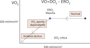Relación entre disponibilidad y consumo de oxígeno (O2). Relación entre la oferta (DO2) y la demanda de oxígeno (VO2) y la transición del metabolismo energético desde aeróbico hacia anaeróbico. El lado derecho de la curva muestra la relación independiente entre la DO2 y la VO2. En condiciones en las que la DO2 disminuye por debajo de la DO2 crítica (donde la tasa de extracción de O2 es máxima: 340ml/min/m2), la VO2 pasa a ser dependiente de la DO2. En estas condiciones se presenta el déﬁcit de O2 que lleva a un estado isquémico. La magnitud del déﬁcit de O2 explica la deuda de O2. ERO2=tasa de extracción de oxígeno3.