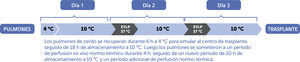 Protocolo de almacenamiento a 10°C con EVLP intermitente. Modiﬁcado de Ali et al.18.