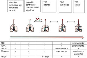 Relaciones posibles del bacilo con el hombre Abreviaturas: PPD: derivado proteico purificado de tuberculina; IGRA: prueba de liberación de interferón-gamma; PET/CT: tomografía por emisión de positrones - tomografía computada.
