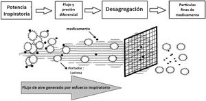Desagregación o desaglomeración La potencia inspiratoria, fundamental para desaglomerar y aerosolizar el polvo del medicamento en inhaladores de polvo seco, se puede aumentar generando una mayor presión diferencial al inhalar en dispositivos de mayor resistencia o incrementando el flujo de aire inspirado. La resistencia interna (rejilla) limita la velocidad del flujo de aire, y los pacientes deben inhalar con fuerza para superarla, creando la presión necesaria para desaglomerar el polvo y convertirlo en partículas finas que lleguen a las vías respiratorias periféricas. Modificado de Chrystyn34.