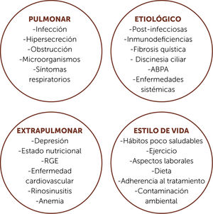 Aspectos multidimensionales que hay que abordar en BQ BQ: bronquiectasias; ABPA: aspergilosis broncopulmonar alérgica; RGE: reflujo gastroesofágico. Adaptado de Girón RM et al14.