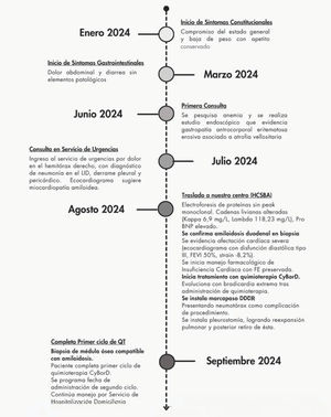 Línea de tiempo del caso clínico. LID: lóbulo inferior derecho; HCSBA: Hospital Clínico San Borja Arriarán; FEVI: Fracción de eyección del ventrículo izquierdo; QT: Quimioterapia.