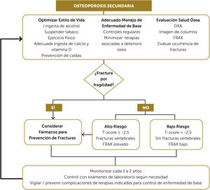 Algoritmo propuesto para el enfrentamiento, manejo y control de la osteoporosis secundaria en adultos. Basado en la propuesta de Ebeling PR et al. 202210 con modiﬁcaciones por las autoras para adaptarlo a un enfoque clínico práctico. Abreviaciones: DXA: densitometría ósea; TBS: score óseo trabecular; FRAX®: Fracture Risk Assessment Tool, calculador de riesgo de fracturas.