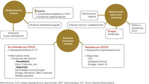 Causas de hiposfosfatemia según mecanismo fisiopatológico. Abreviaciones: EHH: estado hiperglicémico hiperosmolar; QMT: Quimioterapia; TIO: Tumor Induced Osteomalacia.