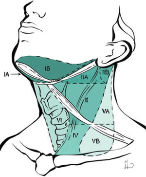 Esquema niveles ganglionares del cuello.