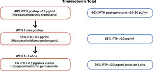 Evolución del hipoparatiroidismo post tiroidectomía. Diagrama de flujo hipotético que muestra las diferentes etapas del hipoparatiroidismo postoperatorio (vía roja) o la recuperación de la función paratiroidea (vía azul) después de 100 tiroidectomías totales realizadas en una unidad quirúrgica experimentada y de alto volumen. Traducido de Sitges-Serra A. 202131. Con licencia: CC BY 4.0 iPTH: intact parathyroid hormone.