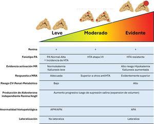 El espectro de hiperaldosteronismo primario desde la normotensión hasta la HTA resistente. Adaptado de Brown et al.5. Abreviaciones: PA: presión arterial; HTA: hipertensión arterial; MR: receptor mineralocorticoideo; MRA: antagonista del receptor mineralocorticoideo; CV: cardiovascular; AngII: angiotensina II; APM: aldosterone producing micronodules; APN: aldosterone producing nodule; APA: aldosterone producing adenoma. Lateralización hace referencia al muestreo de venas adrenales (AVS, por su sigla en inglés).