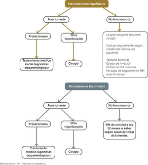 Algoritmos de tratamiento y seguimiento de incidentalomas hipofisiarios. Abreviaciones: RM: resonancia magnética.