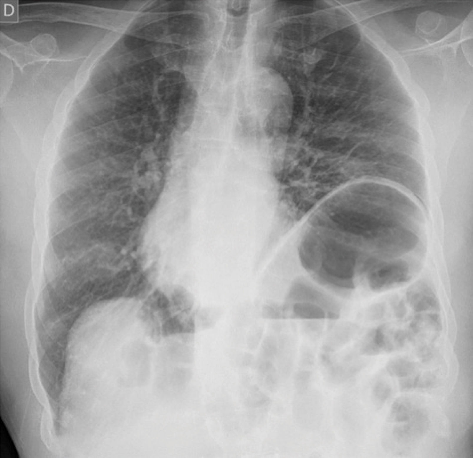 fig0020