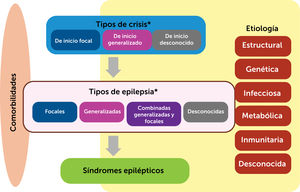 Clasificación de las epilepsias del año 2017 (Adaptado de Scheffer et al, 20175).
