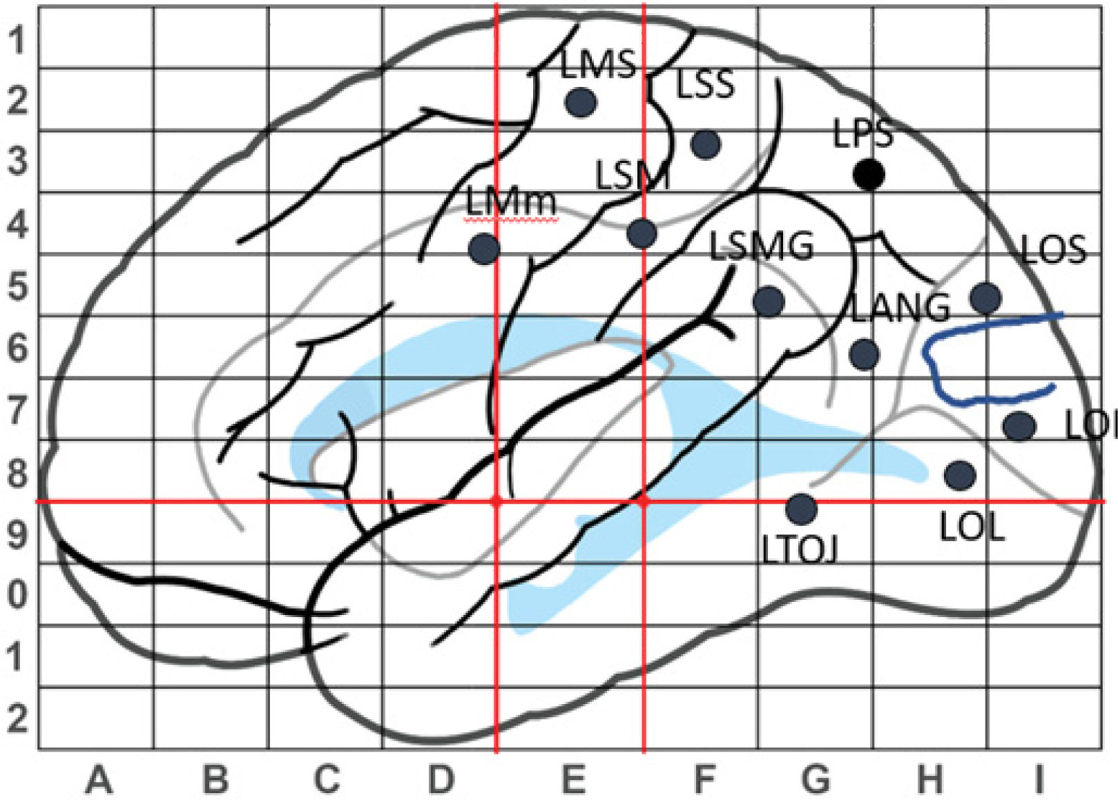 fig0020