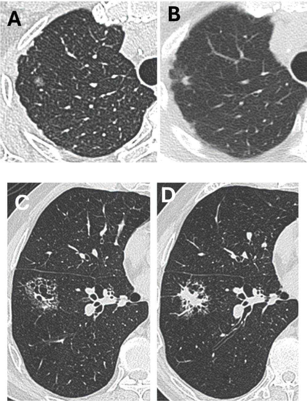 fig0025