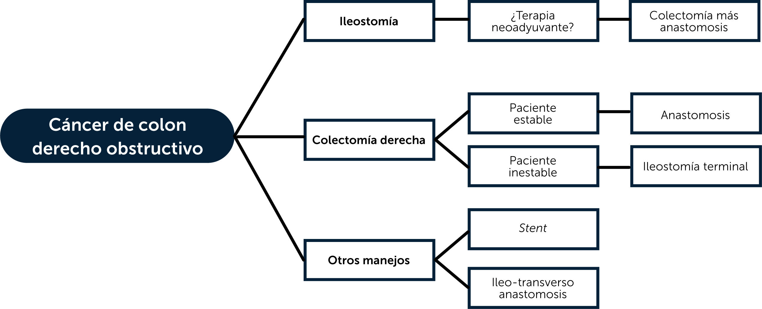 fig0005