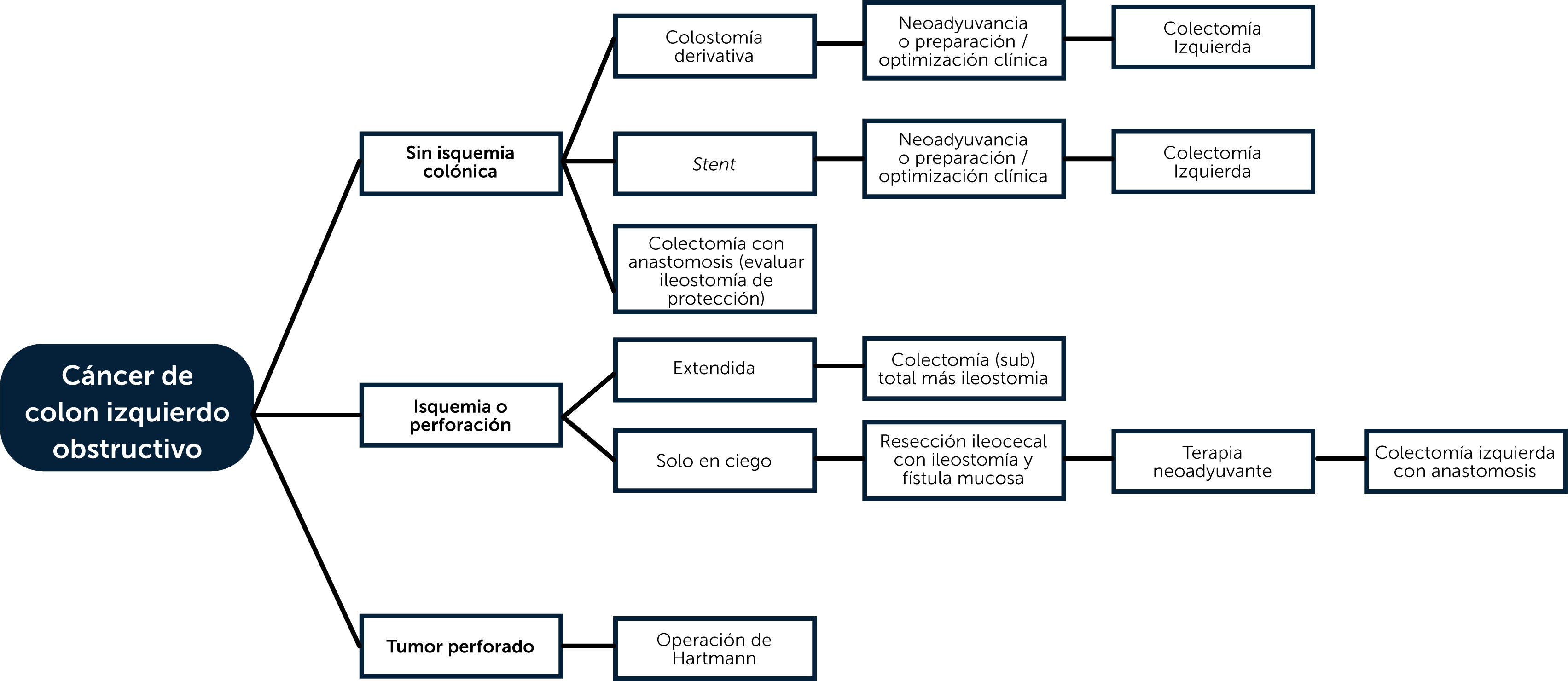 fig0010