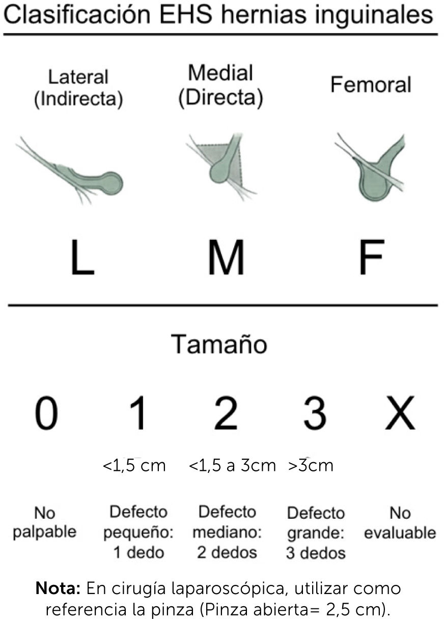 fig0005
