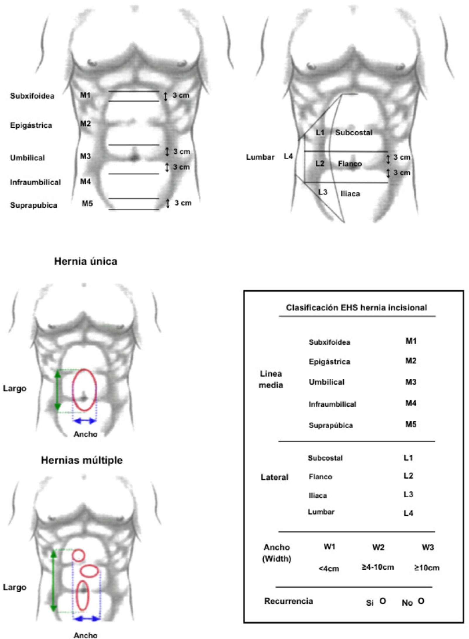 fig0010