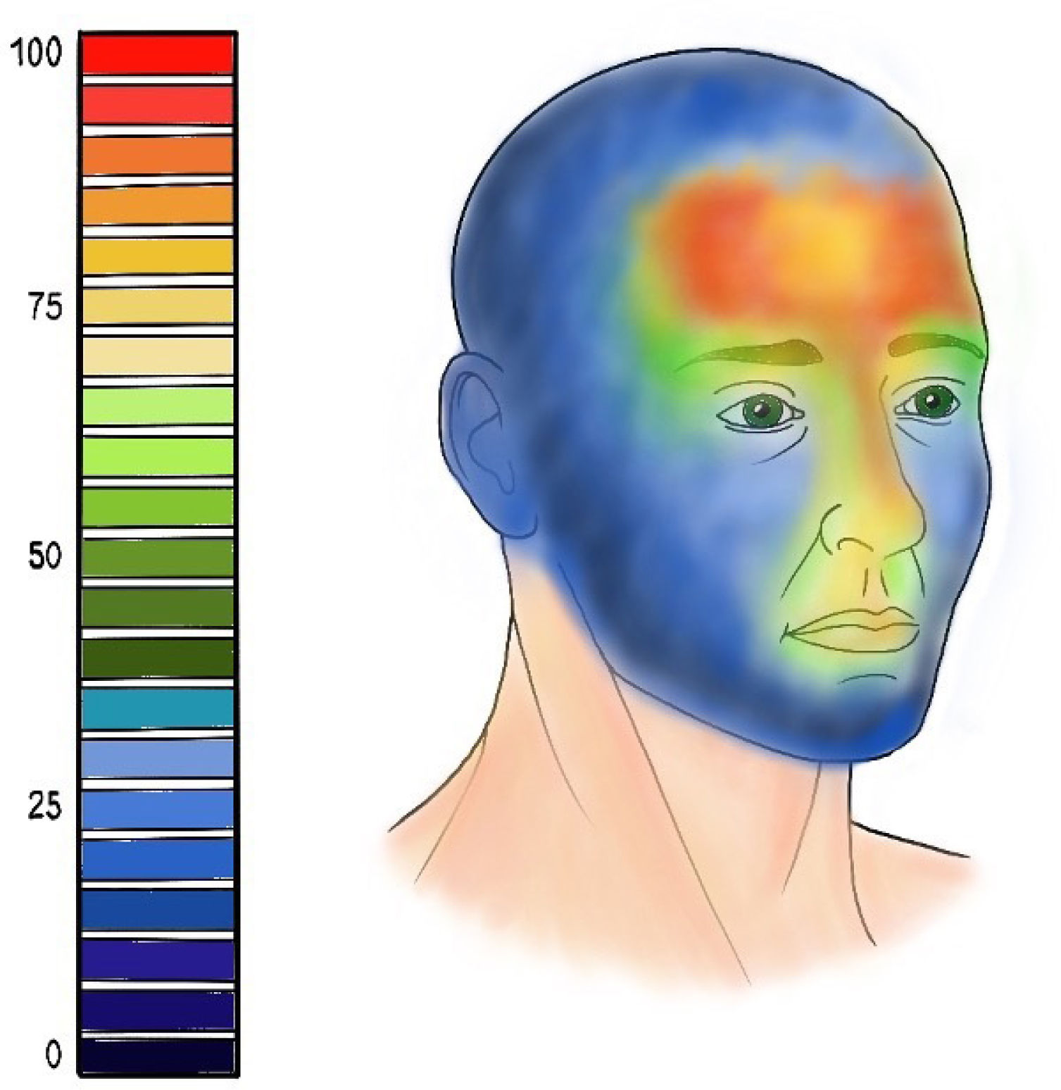 fig0005