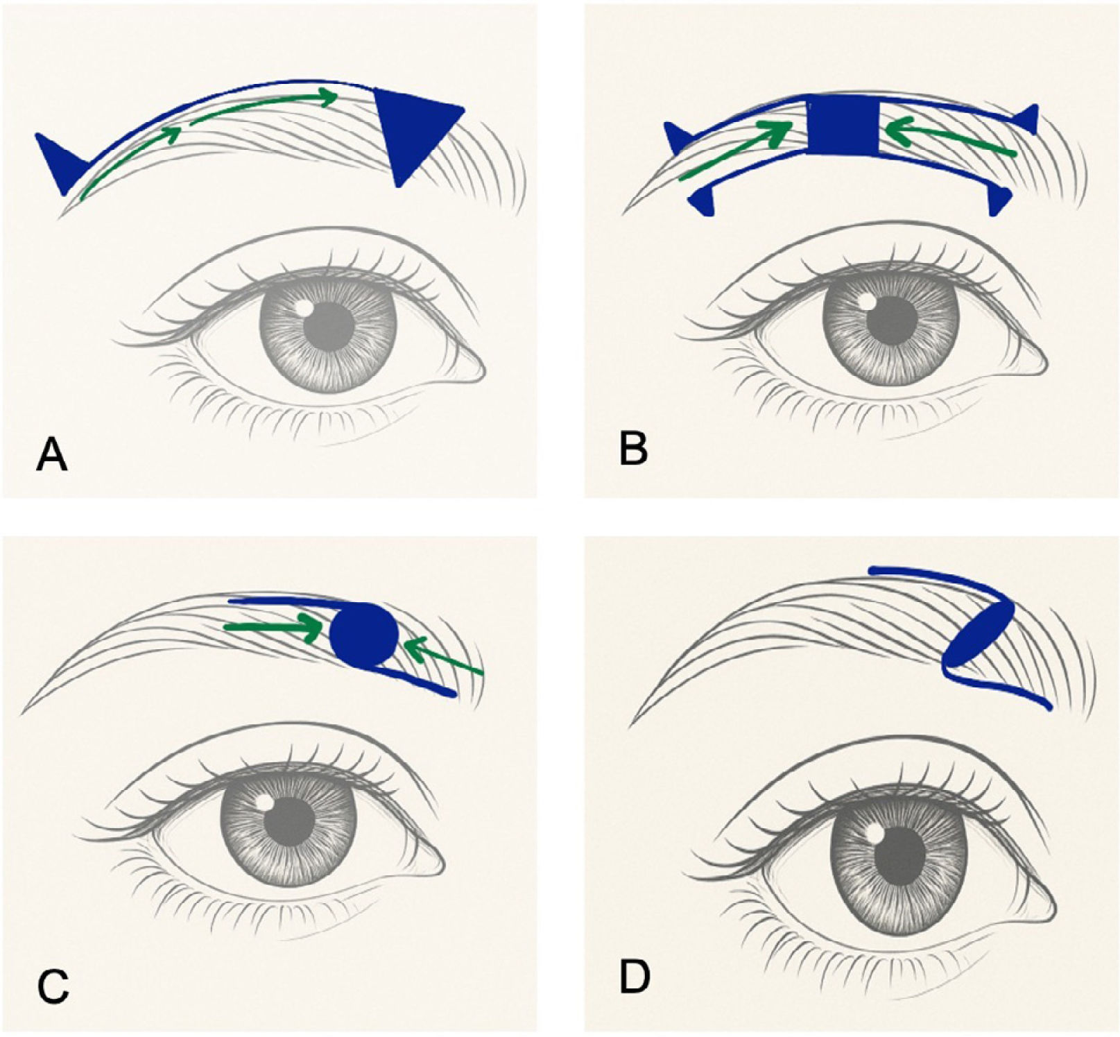 fig0015