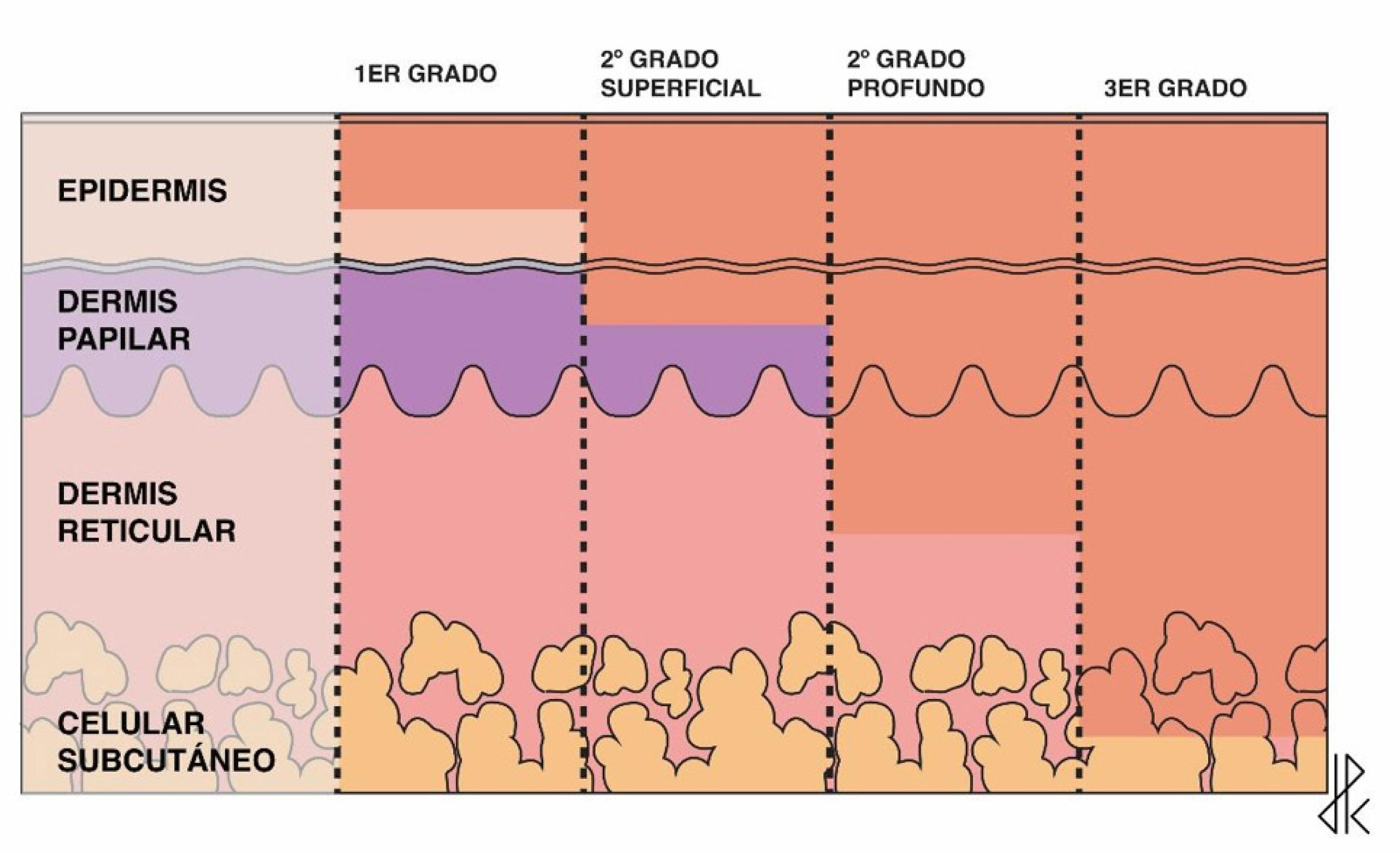 fig0005