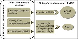 Tradução cintigráfica das alterações que ocorrem no SNS cardíaco no decurso da insuficiência cardíaca crónica.NA: noradrenalina; MIBG: metaiodobenzilguanidina; SNS: sistema nervoso simpático; WR: washout rate.
