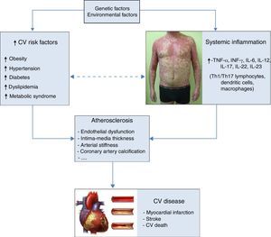 Diagram of the relationships between psoriasis, cardiovascular risk factors, atherosclerosis and cardiovascular disease. CV: cardiovascular.
