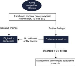 Proposed European Society of Cardiology screening protocol for young competitive athletes (adapted from 72). CV: cardiovascular; ECG: electrocardiogram.
