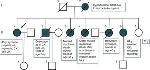 Pedigree of the presented family. CK: creatine kinase; SCD: sudden cardiac death; y: years.