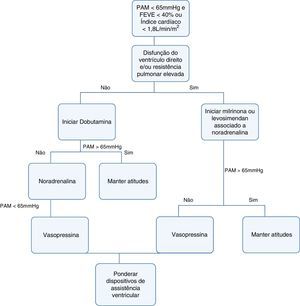 Terapêutica proposta para doentes que se mantêm em choque cardiogénico após reposição adequada de fluidos. FEVE: fração de ejeção do ventrículo esquerdo; PAM: pressão arterial média.