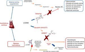 Mecanismo de ação farmacológica do LCZ696 (adaptado de Vardeny et al.2).