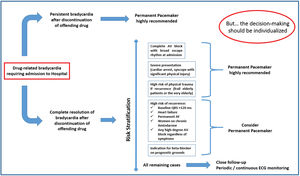 Algorithm with suggestions for the decision-making process in patients with drug-related bradycardia. AF: atrial fibrillation; AV: atrioventricular; ECG: electrocardiographic.