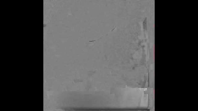 https://ars.els-cdn.com/content/image/1-s2.0-S0870255118303998-mmc1.mp4