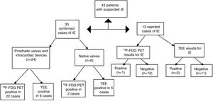 Flowchart of the progress of the patients through the study. 18F-FDG PET: [18F]2-fluoro-2-deoxy-d-glucose positron emission tomography; IE: infective endocarditis; TEE: transesophageal echocardiography.