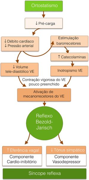 Fisiopatologia do reflexo de Bezold‐Jarisch como mecanismo da síncope reflexa. VE = Ventricular Esquerdo.