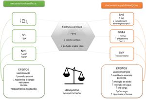 Esquema representativo dos sistemas neuro‐hormonais envolvidos na insuficiência cardíaca e dos seus principais efeitos. PG, prostaglandina; SD, sistema dopaminérgico; NPS, sistema dos péptidos natriuréticos; FEVE, fração de ejeção do ventrículo esquerdo; SNS, sistema nervoso simpático; SRAA, sistema renina‐angiotensina‐aldosterona; A‐II, angiotensina II; SVA, sistema vasopressina‐arginina.