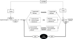 Esquema ilustrativo do funcionamento dos sistemas renina‐angiotensina‐aldosterona e péptidos natriuréticos na insuficiência cardíaca, bem como da ação do sacubitril/valsartan, o primeiro fármaco da classe ARNi disponível no mercado. IC‐FER, insuficiência cardíaca com fração de ejeção reduzida; SRAA, sistema renina‐angiotensina‐aldosterona; NPS, sistema dos péptidos natriuréticos; A‐I, angiotensina I; A‐II, angiotensina II; ATR1, recetor da angiotensina tipo 1; ANP, péptido natriurético do tipo A; BNP, péptido natriurético do tipo B; ARB, antagonista dos recetores da angiotensina II; NEP, neprilisina; NEPi, inibidor da neprilisina. Adaptado de Ansara e colaboradores, 201699.