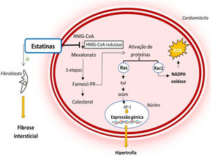 Mecanismo de ação das estatinas e o seu papel na fisiopatologia da MCH39,40 Legenda: Ap‐1‐ proteína ativadora‐1; Farnesil‐PP‐ farnesil‐pirofosfato; HMG‐CoA‐ 3‐hidroxi‐3‐metilglutaril coenzima A; MAPK‐ proteína cinase ativada por mitogénio; NADPH‐ nicotinamida‐adenina‐dinucleótido‐fosfato reduzida; ROS‐ espécies reativas de oxigénio.
