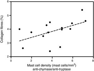 Correlation between collagen fibers and density of mast cells immunolabeled with anti-chymase and anti-tryptase antibodies. Linear regression fit=3.03+0.26. p=0.04.