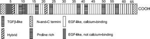 Representação esquemática da organização do gene fibrilina‐1. Adaptado de What is new in the Marfan syndrome?, Nollen GJ, Mulder BJM, Int J Cardiol, 97:103‐8, 2004. EGF‐like, domínios homólogos ao fator de crescimento epidérmico; TGF‐β‐like, domínios homólogos aos encontrados nas proteínas latentes de ligação ao fator de crescimento beta‐1.