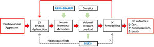 Central Figure. The pathophysiology of heart failure with reduced ejection fraction (HFrEF) and the four foundational HFrEF prognosis-modifying drugs: angiotensin receptor/neprilysin inhibitor (ARNI), beta-adrenergic blocking agents (BBs), mineralocorticoid receptor antagonists (MRAs), and sodium-glucose co-transporter 2 inhibitors (SGLT2i). The filled arrows represent recognized mechanisms; the dashed arrows represent possible mechanisms.