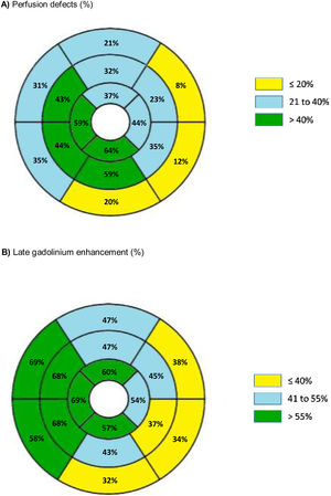 Ischemia (A) and late gadolinium enhancement (B) frequency in individual cardiac magnetic resonance segments A) Perfusion defects (%).