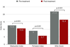Changes in the obstruction index, perfusion index and Miller Score before and after treatment evaluated by angiography analysis.
